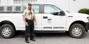 Animal Control Services