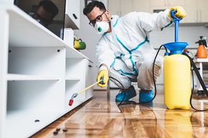 exterminator in work wear spraying pesticide with sprayer
