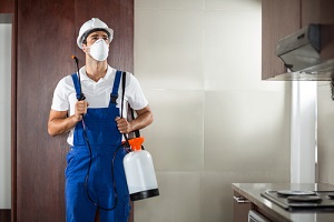 pest worker spraying standing in kitchen at home
